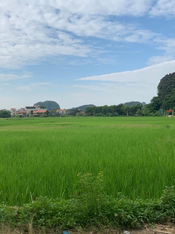Tam Coc Wonderland Bungalow Ninh Binh Eksteriør billede