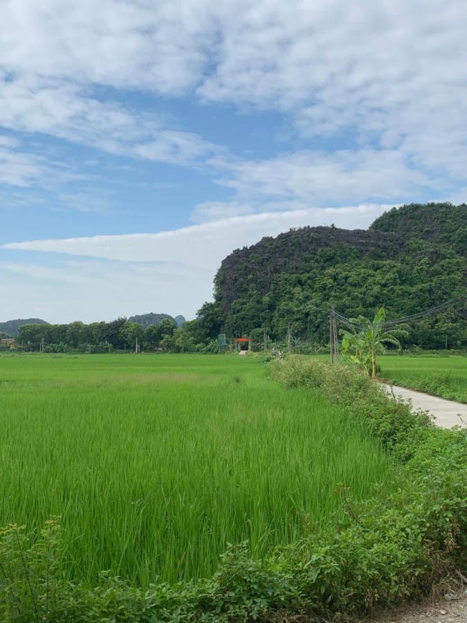 Tam Coc Wonderland Bungalow Ninh Binh Eksteriør billede